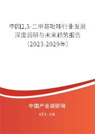 中國2,3-二甲基吡嗪行業(yè)發(fā)展深度調研與未來趨勢報告（2023-2029年）