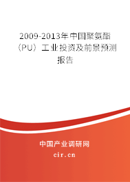 2009-2013年中國(guó)聚氨酯（PU）工業(yè)投資及前景預(yù)測(cè)報(bào)告