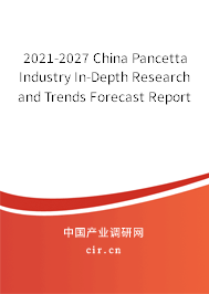 2021-2027 China Pancetta Industry In-Depth Research and Trends Forecast Report