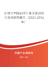 全球與中國BRT行業(yè)深度調(diào)研與發(fā)展趨勢報告(2025-2031年) 全球與中國BRT行業(yè)深度調(diào)研與發(fā)展趨勢報告(2025-2031年)