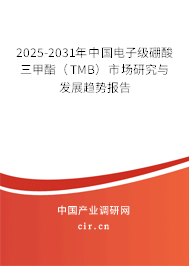 2025-2031年中國電子級硼酸三甲酯（TMB）市場研究與發(fā)展趨勢報告