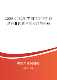 2025-2031年中國功能性電刺激行業(yè)現(xiàn)狀與前景趨勢分析 2025-2031年中國功能性電刺激行業(yè)現(xiàn)狀與前景趨勢分析