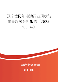 遼寧太陽能電池行業(yè)現(xiàn)狀與前景趨勢分析報(bào)告(2025-2031年) 遼寧太陽能電池行業(yè)現(xiàn)狀與前景趨勢分析報(bào)告(2025-2031年)