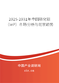 2025-2031年中國(guó)磷化銦(InP)市場(chǎng)分析與前景趨勢(shì) 2025-2031年中國(guó)磷化銦(InP)市場(chǎng)分析與前景趨勢(shì)
