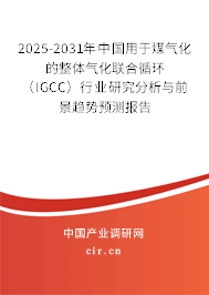 2025-2031年中國(guó)用于煤氣化的整體氣化聯(lián)合循環(huán)（IGCC）行業(yè)研究分析與前景趨勢(shì)預(yù)測(cè)報(bào)告