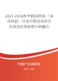 2025-2031年中國油頁巖(油母頁巖)開發(fā)市場調(diào)查研究及發(fā)展前景趨勢分析報告 2025-2031年中國油頁巖(油母頁巖)開發(fā)市場調(diào)查研究及發(fā)展前景趨勢分析報告