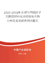 2025-2031年全球與中國質(zhì)子交換膜燃料電池雙極板市場分析及發(fā)展趨勢預(yù)測報告 2025-2031年全球與中國質(zhì)子交換膜燃料電池雙極板市場分析及發(fā)展趨勢預(yù)測報告