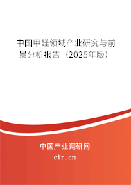 中國甲醛領(lǐng)域產(chǎn)業(yè)研究與前景分析報(bào)告（2025年版）