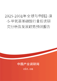 2025-2031年全球與中國2-溴-5-甲氧基苯硼酸行業(yè)現(xiàn)狀研究分析及發(fā)展趨勢預(yù)測報告