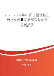 2025-2031年中國富鋰錳基正極材料行業(yè)發(fā)展研究與前景分析報告 2025-2031年中國富鋰錳基正極材料行業(yè)發(fā)展研究與前景分析報告