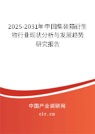 2025-2031年中國集裝箱衍生物行業(yè)現(xiàn)狀分析與發(fā)展趨勢研究報告