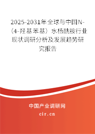 2025-2031年全球與中國N-（4-羥基苯基）水楊酰胺行業(yè)現(xiàn)狀調(diào)研分析及發(fā)展趨勢研究報告