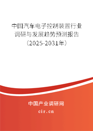 中國汽車電子控制裝置行業(yè)調(diào)研與發(fā)展趨勢預(yù)測報(bào)告（2025-2031年）