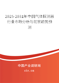 2025-2031年中國氣體探測器行業(yè)市場分析與前景趨勢預(yù)測