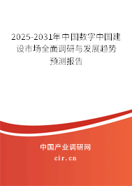 2025-2031年中國數(shù)字中國建設(shè)市場全面調(diào)研與發(fā)展趨勢預(yù)測報告