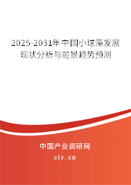 2025-2031年中國(guó)小球藻發(fā)展現(xiàn)狀分析與前景趨勢(shì)預(yù)測(cè) 2025-2031年中國(guó)小球藻發(fā)展現(xiàn)狀分析與前景趨勢(shì)預(yù)測(cè)