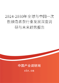2024-2030年全球與中國(guó)一次性胰島素泵行業(yè)發(fā)展深度調(diào)研與未來(lái)趨勢(shì)報(bào)告