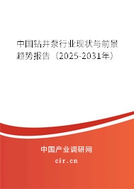 中國鉆井泵行業(yè)現(xiàn)狀與前景趨勢報告(2025-2031年) 中國鉆井泵行業(yè)現(xiàn)狀與前景趨勢報告(2025-2031年)