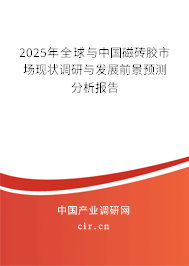 2025年全球與中國磁磚膠市場現(xiàn)狀調(diào)研與發(fā)展前景預(yù)測分析報告 2025年全球與中國磁磚膠市場現(xiàn)狀調(diào)研與發(fā)展前景預(yù)測分析報告
