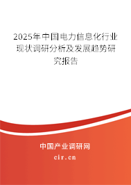 2025年中國(guó)電力信息化行業(yè)現(xiàn)狀調(diào)研分析及發(fā)展趨勢(shì)研究報(bào)告 2025年中國(guó)電力信息化行業(yè)現(xiàn)狀調(diào)研分析及發(fā)展趨勢(shì)研究報(bào)告