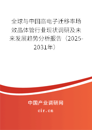 全球與中國高電子遷移率場效晶體管行業(yè)現(xiàn)狀調(diào)研及未來發(fā)展趨勢分析報告（2024-2030年）