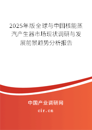 2025年版全球與中國(guó)核能蒸汽產(chǎn)生器市場(chǎng)現(xiàn)狀調(diào)研與發(fā)展前景趨勢(shì)分析報(bào)告