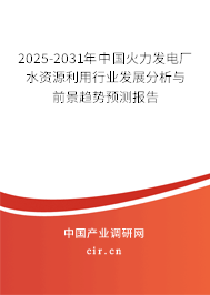2025-2031年中國火力發(fā)電廠水資源利用行業(yè)發(fā)展分析與前景趨勢預測報告 2025-2031年中國火力發(fā)電廠水資源利用行業(yè)發(fā)展分析與前景趨勢預測報告