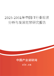 2025-2031年中國(guó)IT行業(yè)現(xiàn)狀分析與發(fā)展前景研究報(bào)告