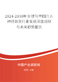 2024-2030年全球與中國介入神經(jīng)裝置行業(yè)發(fā)展深度調(diào)研與未來趨勢報(bào)告