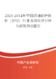 2025-2031年中國浪涌保護器件（SPD）行業(yè)發(fā)展現(xiàn)狀分析與趨勢預(yù)測報告