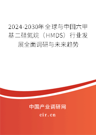 2024-2030年全球與中國六甲基二硅氮烷(HMDS)行業(yè)發(fā)展全面調(diào)研與未來趨勢 2024-2030年全球與中國六甲基二硅氮烷(HMDS)行業(yè)發(fā)展全面調(diào)研與未來趨勢
