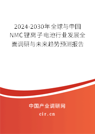 2024-2030年全球與中國NMC鋰離子電池行業(yè)發(fā)展全面調(diào)研與未來趨勢預(yù)測報告 2024-2030年全球與中國NMC鋰離子電池行業(yè)發(fā)展全面調(diào)研與未來趨勢預(yù)測報告