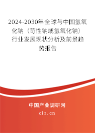 2024-2030年全球與中國氫氧化鈉（苛性鈉或氫氧化鈉）行業(yè)發(fā)展現(xiàn)狀分析及前景趨勢(shì)報(bào)告