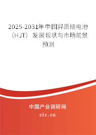 2025-2031年中國異質結電池（HJT）發(fā)展現狀與市場前景預測