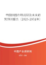 中國拼圖市場調(diào)研及未來趨勢預(yù)測報(bào)告（2025-2031年）
