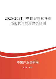 2025-2031年中國(guó)穿刺套件市場(chǎng)現(xiàn)狀與前景趨勢(shì)預(yù)測(cè) 2025-2031年中國(guó)穿刺套件市場(chǎng)現(xiàn)狀與前景趨勢(shì)預(yù)測(cè)