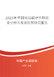 2025年中國電站鍋爐市場(chǎng)調(diào)查分析與發(fā)展前景研究報(bào)告