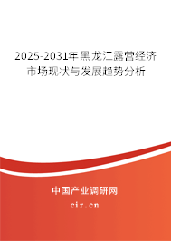 2025-2031年黑龍江露營經(jīng)濟市場現(xiàn)狀與發(fā)展趨勢分析
