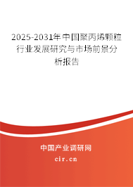 2025-2031年中國(guó)聚丙烯顆粒行業(yè)發(fā)展研究與市場(chǎng)前景分析報(bào)告