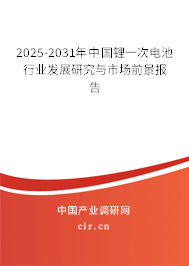2024-2030年中國鋰一次電池行業(yè)發(fā)展研究與市場前景報(bào)告 2024-2030年中國鋰一次電池行業(yè)發(fā)展研究與市場前景報(bào)告