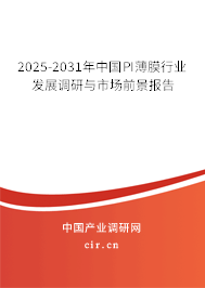 2025-2031年中國(guó)PI薄膜行業(yè)發(fā)展調(diào)研與市場(chǎng)前景報(bào)告