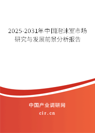 2025-2031年中國泡沫室市場研究與發(fā)展前景分析報告 2025-2031年中國泡沫室市場研究與發(fā)展前景分析報告
