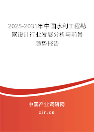 2025-2031年中國水利工程勘察設(shè)計行業(yè)發(fā)展分析與前景趨勢報告 2025-2031年中國水利工程勘察設(shè)計行業(yè)發(fā)展分析與前景趨勢報告