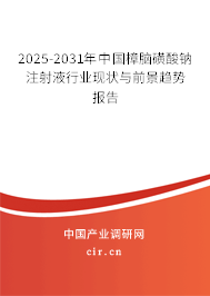 2025-2031年中國樟腦磺酸鈉注射液行業(yè)現(xiàn)狀與前景趨勢報告