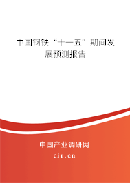 中國鋼鐵“十一五”期間發(fā)展預測報告