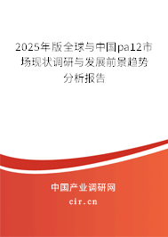 2025年版全球與中國(guó)pa12市場(chǎng)現(xiàn)狀調(diào)研與發(fā)展前景趨勢(shì)分析報(bào)告 2025年版全球與中國(guó)pa12市場(chǎng)現(xiàn)狀調(diào)研與發(fā)展前景趨勢(shì)分析報(bào)告