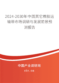 2023-2029年中國(guó)其它橡膠運(yùn)輸帶市場(chǎng)調(diào)研與發(fā)展前景預(yù)測(cè)報(bào)告