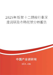 2025年版聚十二酰胺行業(yè)深度調(diào)研及市場前景分析報告
