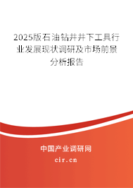 2025版石油鉆井井下工具行業(yè)發(fā)展現(xiàn)狀調(diào)研及市場前景分析報告