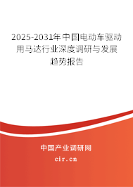 2024-2030年中國電動車驅(qū)動用馬達行業(yè)深度調(diào)研與發(fā)展趨勢報告 2024-2030年中國電動車驅(qū)動用馬達行業(yè)深度調(diào)研與發(fā)展趨勢報告